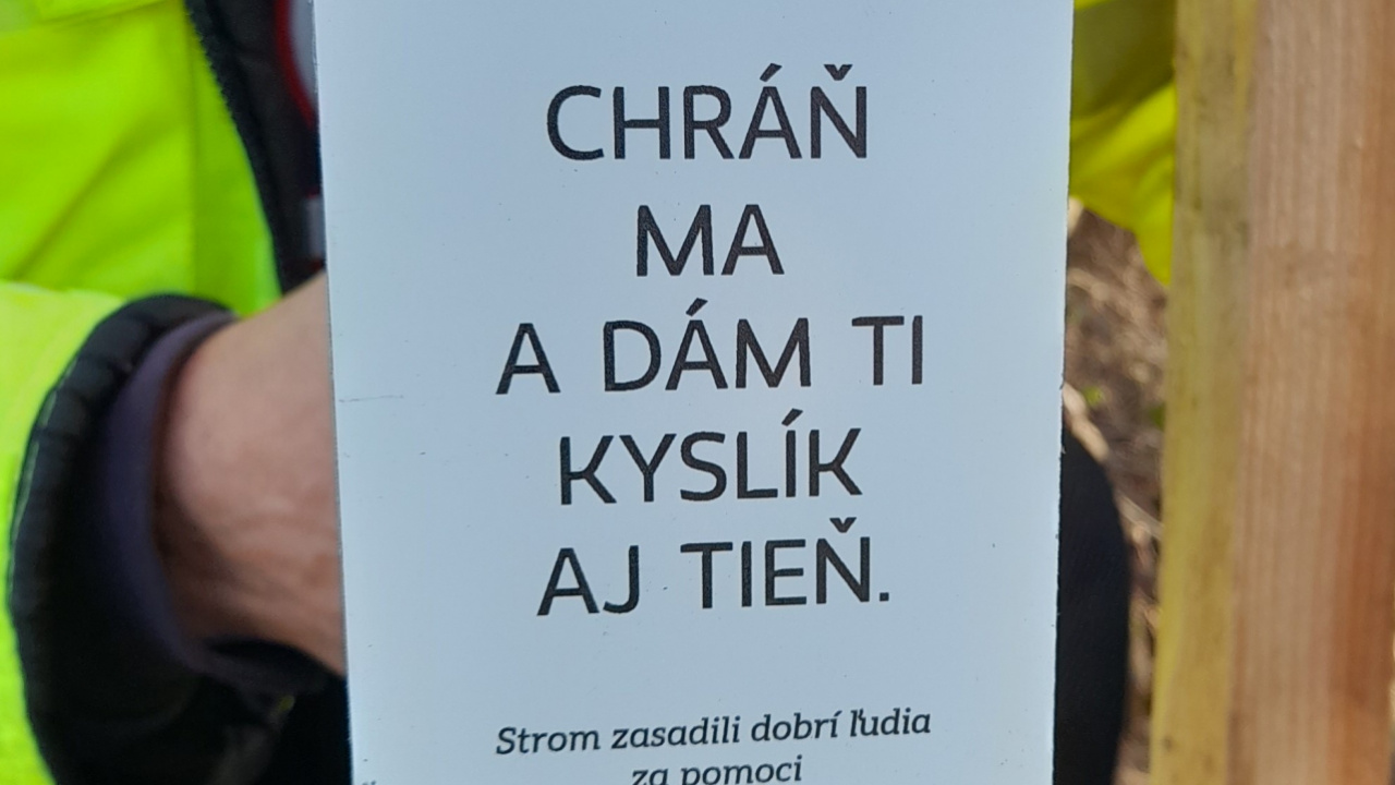 Fotografia fotogalérie 30.11.2024 - Brigáda sadenie stromčekov - Dotácia SLSP