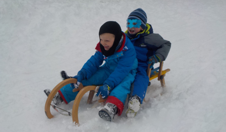 6. fotografia fotogalérie 21.1.2017 - Fašiangová sánkovačka