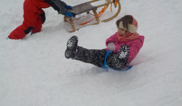 7. fotografia fotogalérie 21.1.2017 - Fašiangová sánkovačka