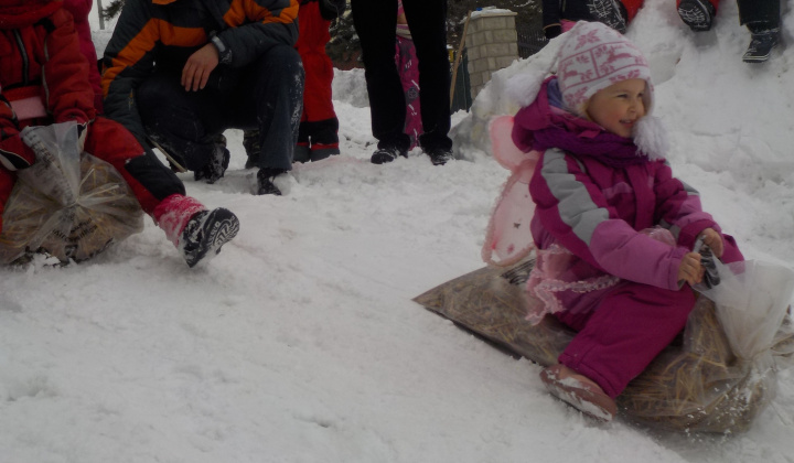 9. fotografia fotogalérie 21.1.2017 - Fašiangová sánkovačka