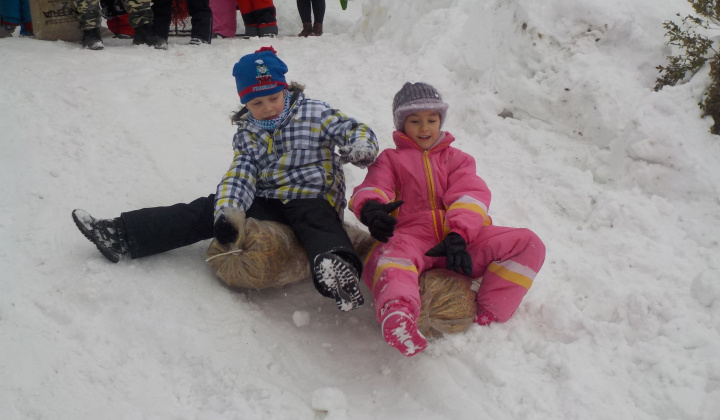 10. fotografia fotogalérie 21.1.2017 - Fašiangová sánkovačka