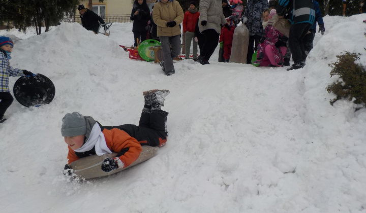 14. fotografia fotogalérie 21.1.2017 - Fašiangová sánkovačka